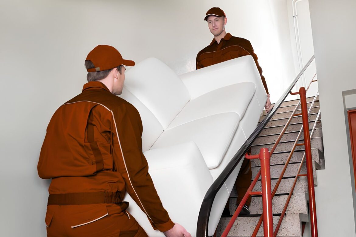 professional villa movers and packers